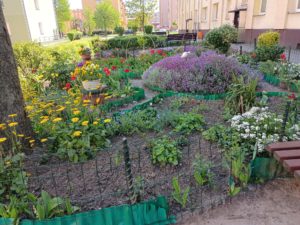 ogródki przy blokach